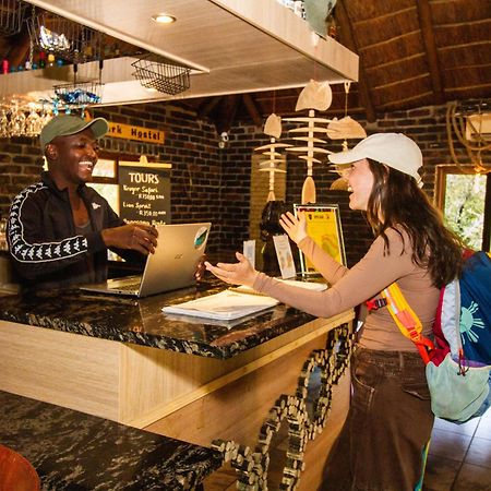 Kruger Park Hostel Marloth Park Extérieur photo